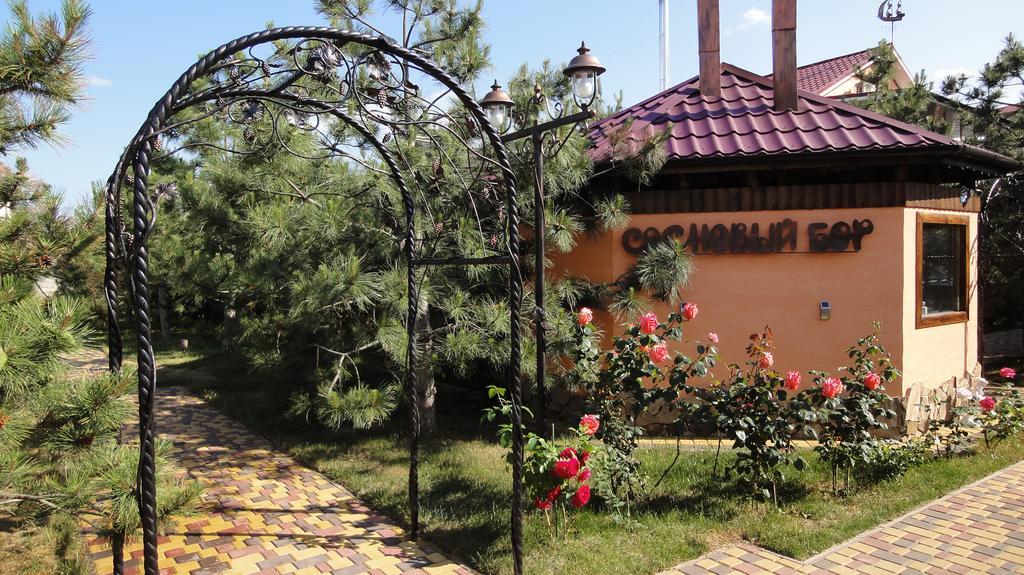 Villa Sosnovy Bor Zatoka Dış mekan fotoğraf