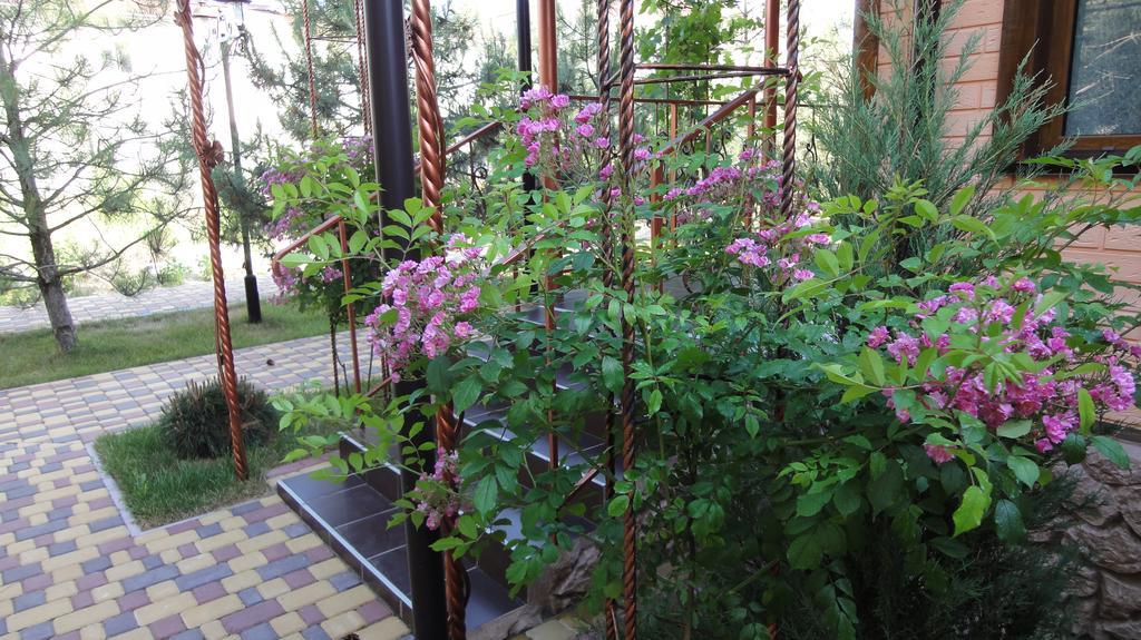 Villa Sosnovy Bor Zatoka Dış mekan fotoğraf