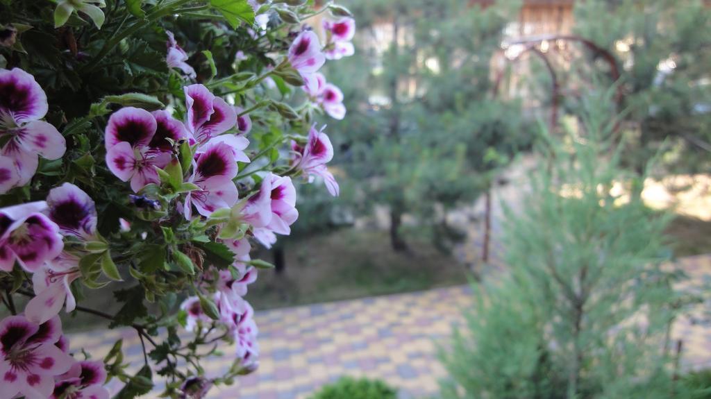 Villa Sosnovy Bor Zatoka Dış mekan fotoğraf
