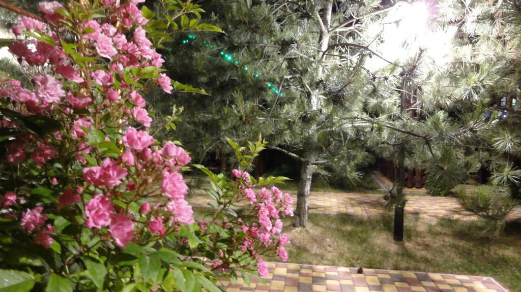 Villa Sosnovy Bor Zatoka Dış mekan fotoğraf