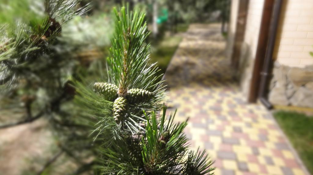 Villa Sosnovy Bor Zatoka Dış mekan fotoğraf
