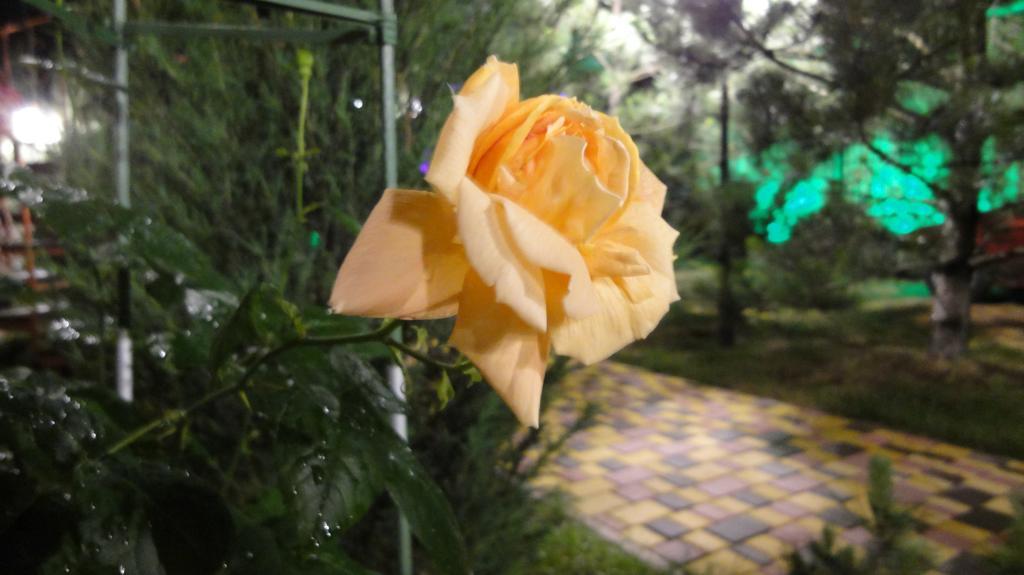 Villa Sosnovy Bor Zatoka Dış mekan fotoğraf
