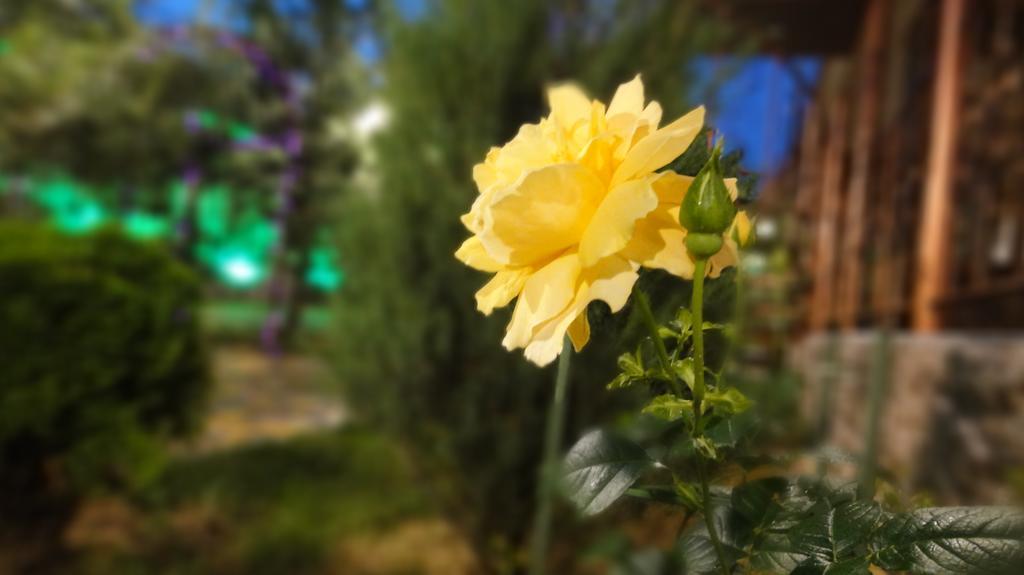 Villa Sosnovy Bor Zatoka Dış mekan fotoğraf