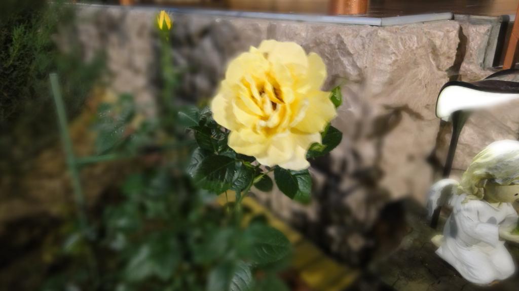 Villa Sosnovy Bor Zatoka Dış mekan fotoğraf